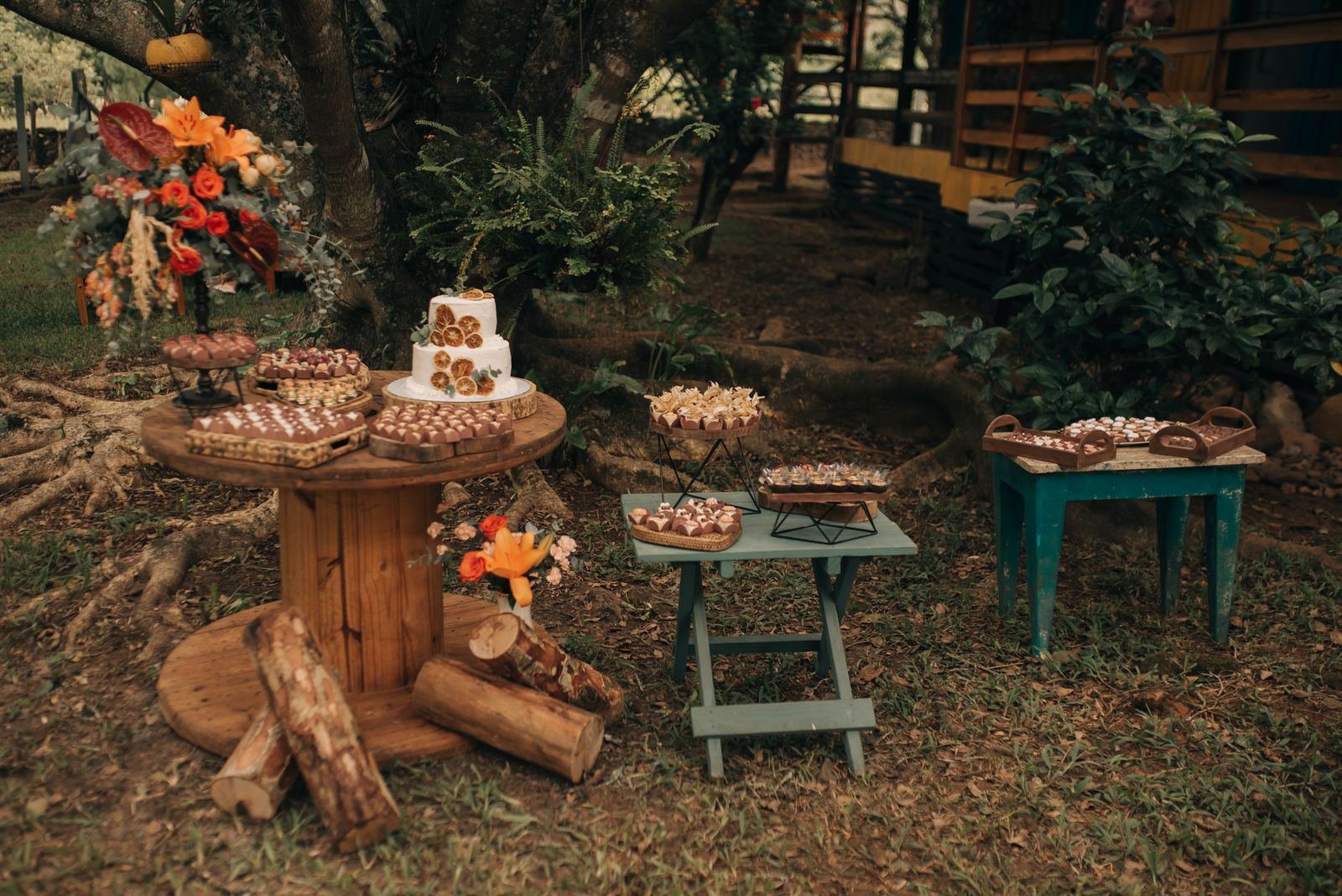 Backyard party spread with cake and finger food